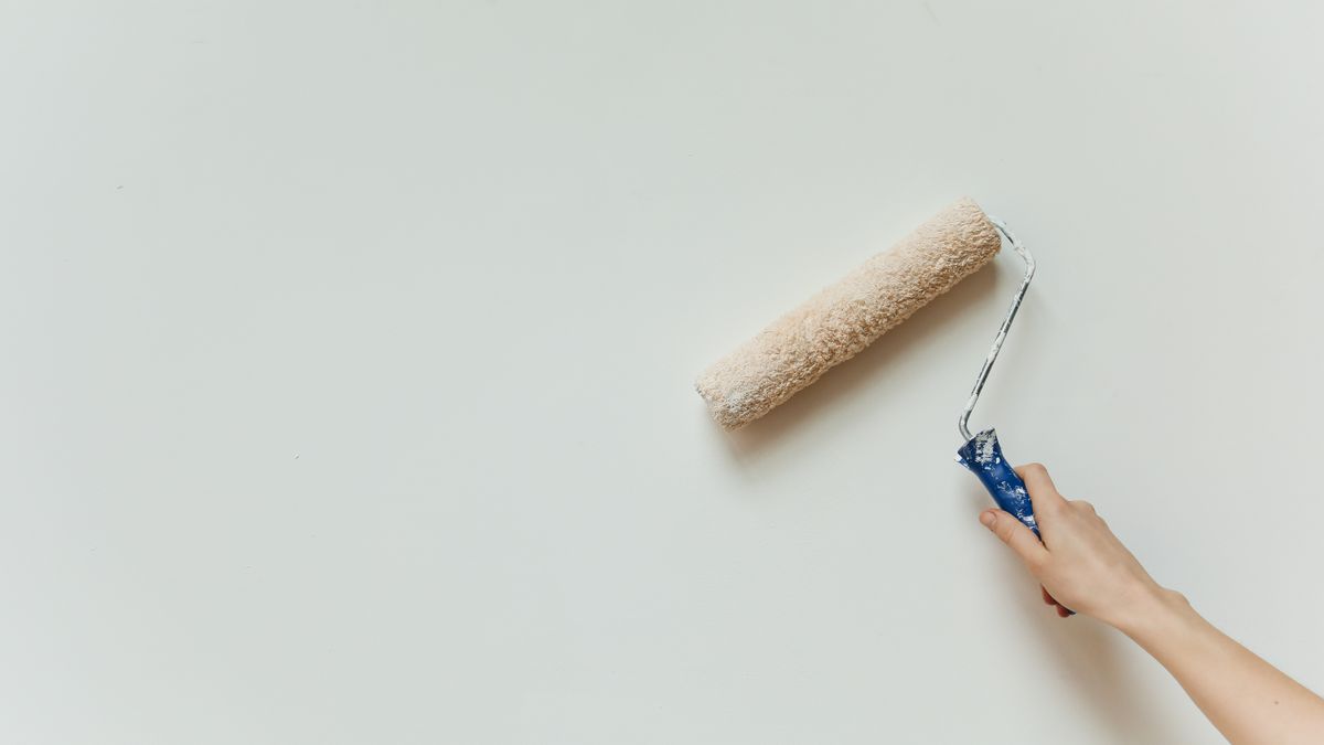 A natural wool brush next to a synthetic filament brush